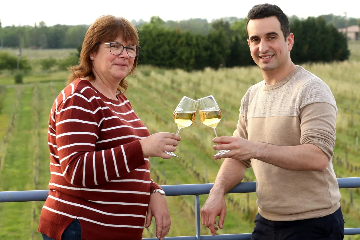 L'équipe du domaine trinque dans les vignes