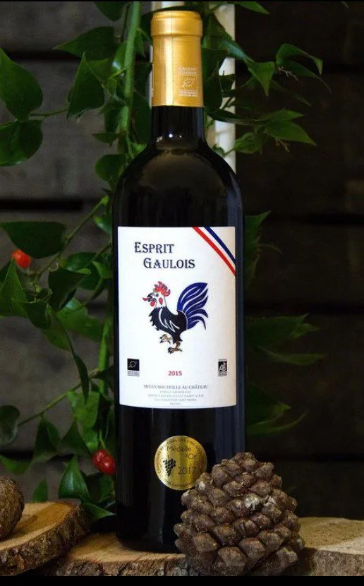 Le Château Saint Louis, domaine viticole bio en AOC Fronton