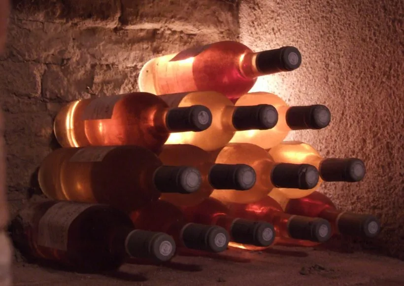 Le Château Saint Louis, domaine viticole bio en AOC Fronton