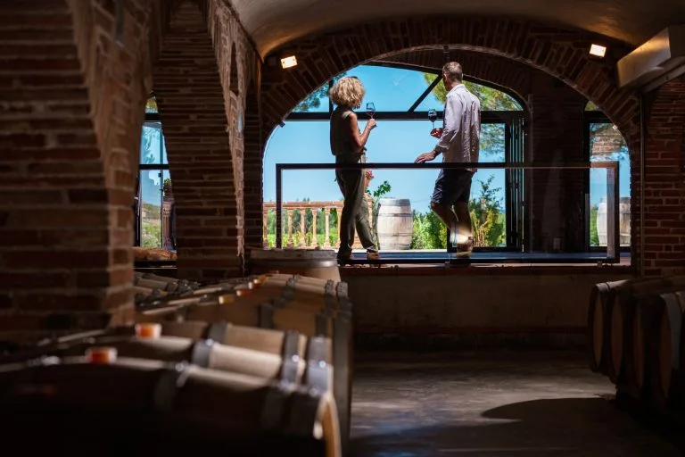 Le Château Saint Louis, domaine viticole bio en AOC Fronton
