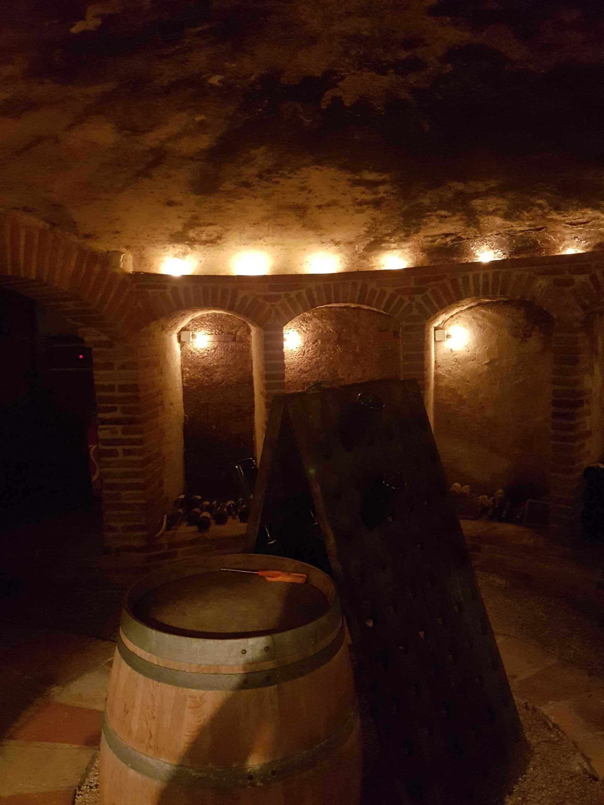Découverte_Viticulture_Chateau_Saint_Louis_et_vin_Fronton_Toulouse 17