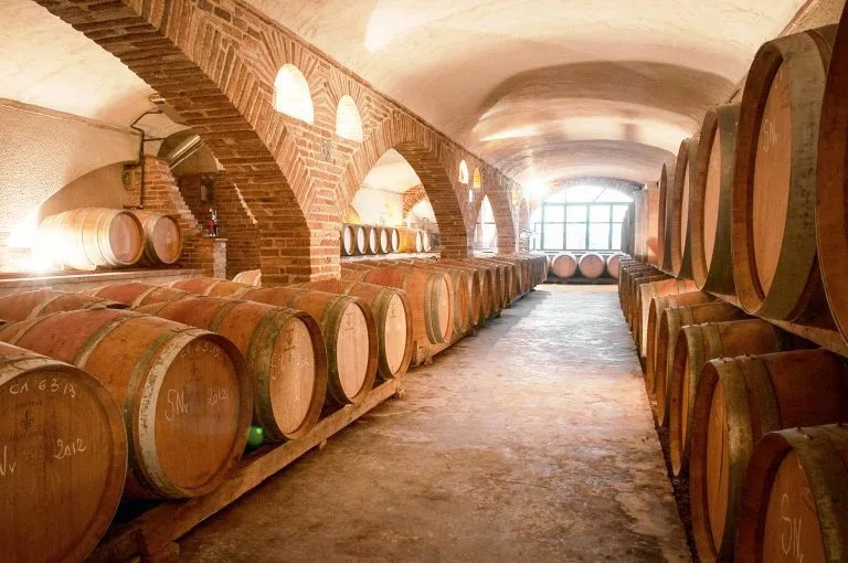 Château Saint Louis, an organic wine estate in AOC Fronton