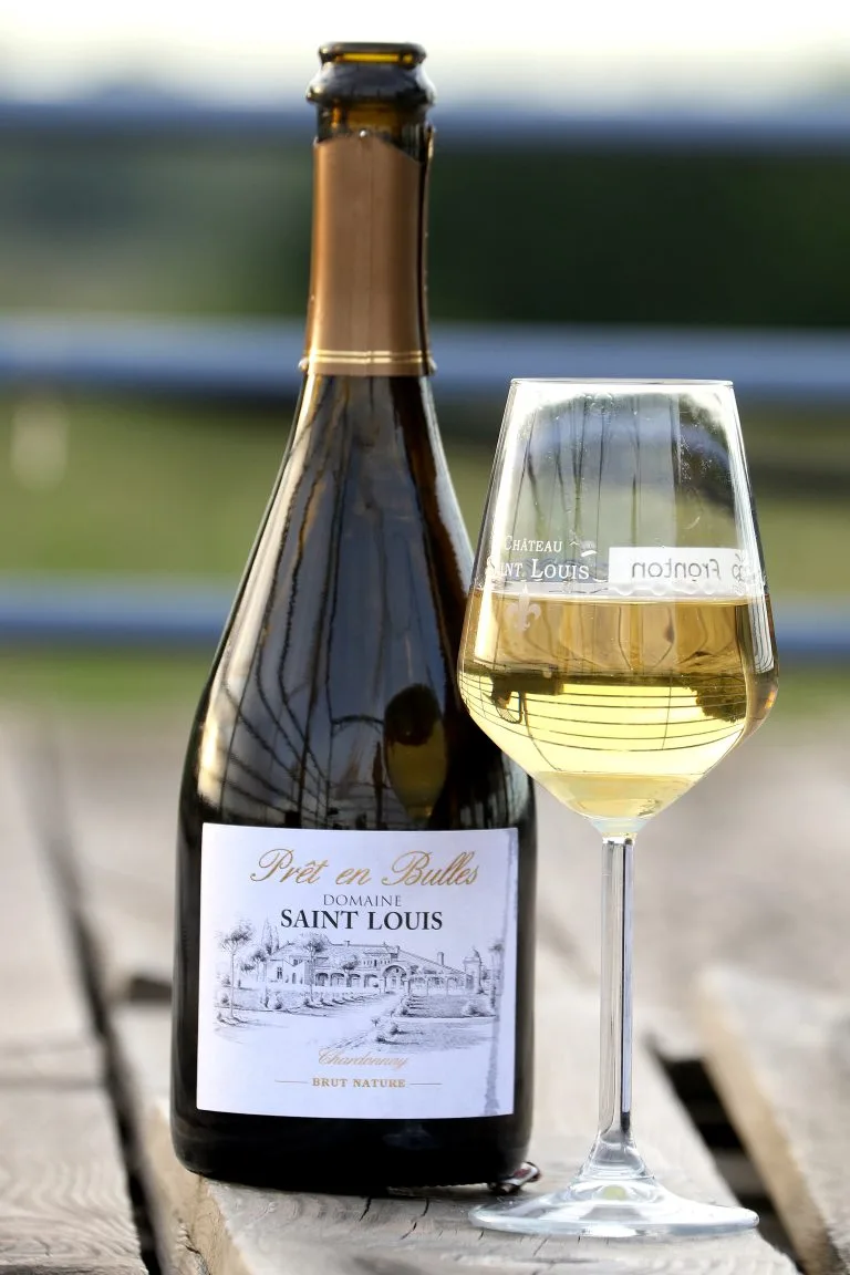 Propriedade vitícola Château Saint Louis Fronton O Château Saint Louis, quinta vitícola biológica em AOC Fronton