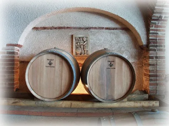 Château Saint Louis, an organic wine estate in AOC Fronton