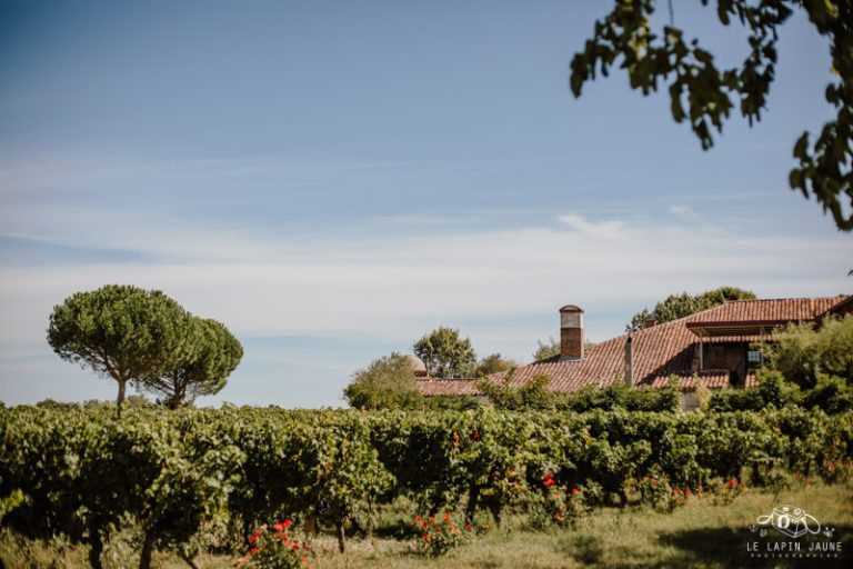Wedding celebrated at Château Saint Louis, a wine estate near Toulouse