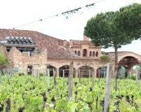 Vignes du Château Saint Louis en AOC Fronton, dans le Sud-Ouest