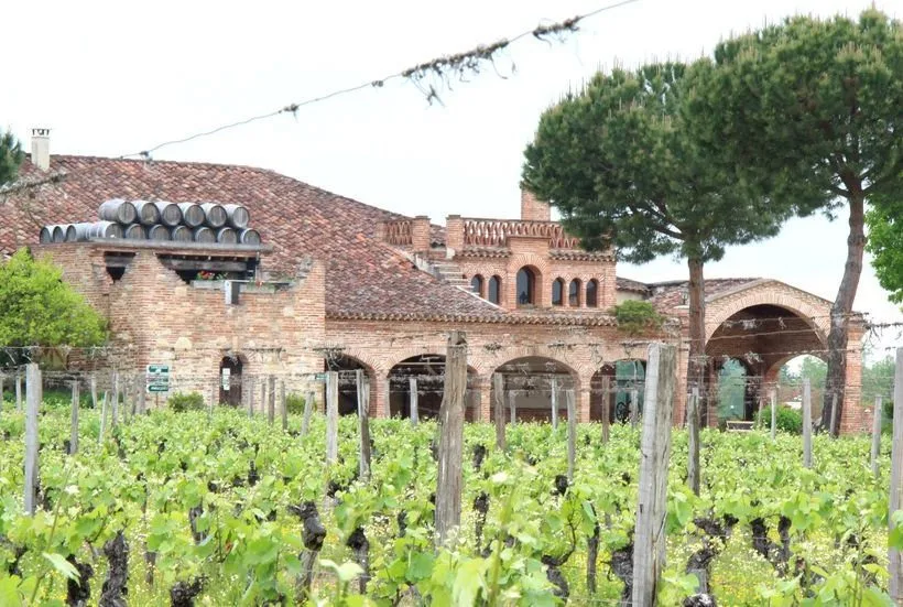 Vines of Château Saint Louis in AOC Fronton, south-west France