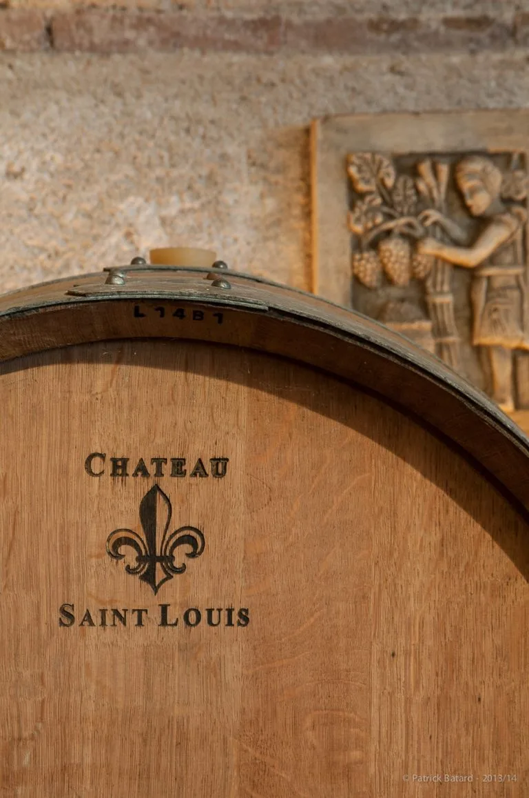 Expérience œnologique au Château Saint Louis, dégustation au domaine
