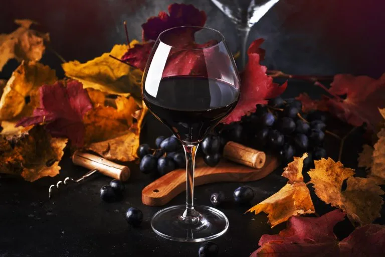 dry-red-wine-in-wine-glass-fall-still-life-with-red-and-yellow