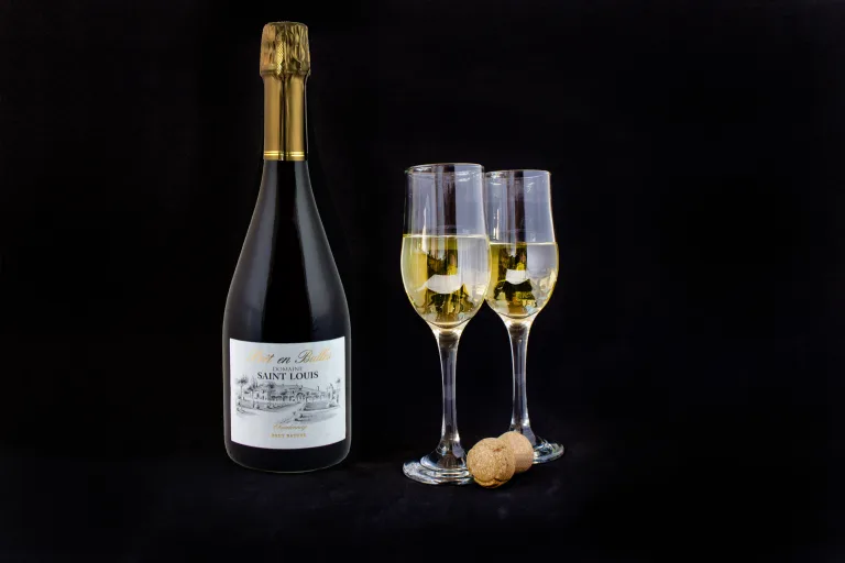 Propriedade vitícola Château Saint Louis Fronton Garrafas de vinho biológico do Château Saint Louis, AOC Fronton
