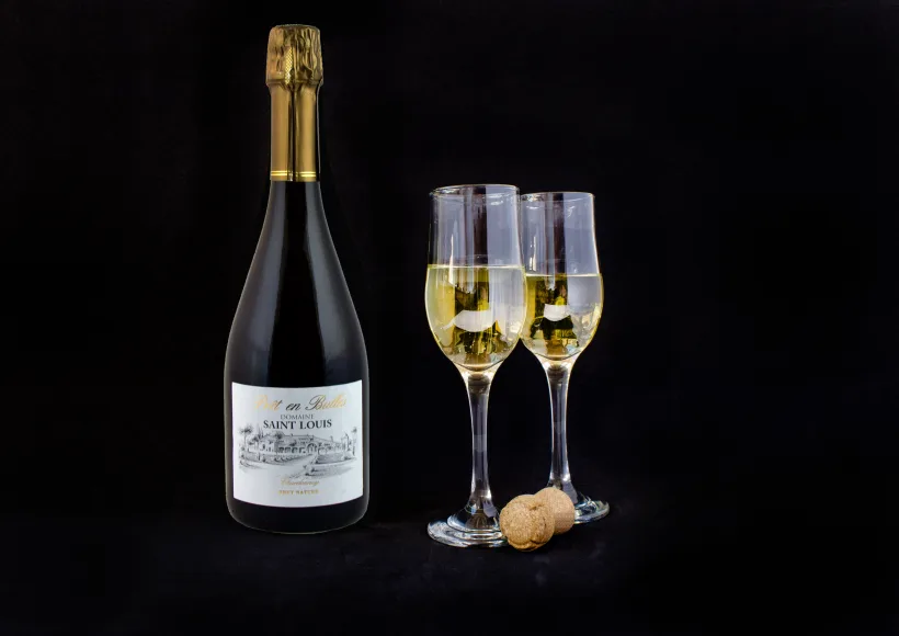 Bouteilles de vin bio du Château Saint Louis, AOC Fronton