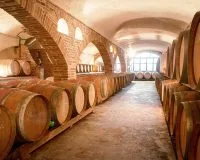 Le Château Saint Louis, domaine viticole bio en AOC Fronton