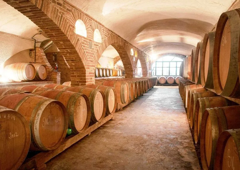 Château Saint Louis, an organic wine estate in AOC Fronton